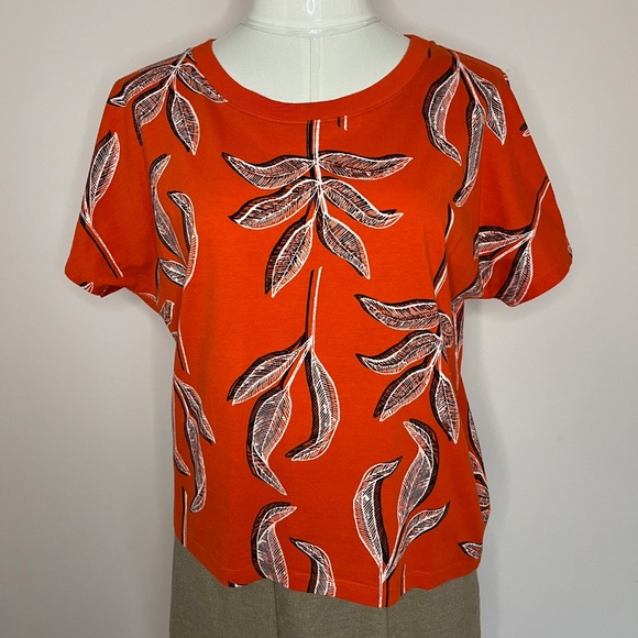 100% Cotton T-Shirt - Picture 3 of 6